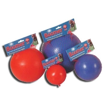 The Company of Animals DCN50600 Medium Clix Ball