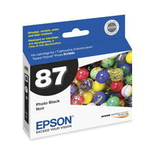 Epson America Inc. EPST087120 Ink Cartridge- For Stylus Photo R1900- Photo Black