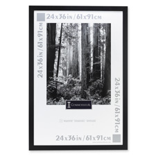 Dax2863u2x Poster Frames- Hangs Vertically-horizontally- 24in.x36in.- Ebony Bk