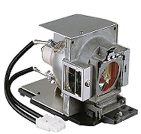 BenQ America 5J.J3J05.001 Replacement Lamp