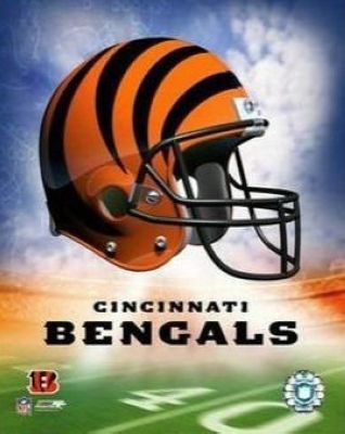 All About Autographs AAA10759 Cincinnati Bengals NFL 8x10 Photograph Team Logo and Football Helmet Collage