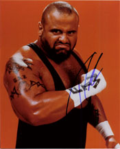 Powers Collectibles 11376 Signed Taz 8x10 Photo