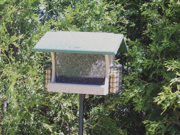 Sn300-s Recycled 7 Quart 2-sided Hopper With Suet Cages