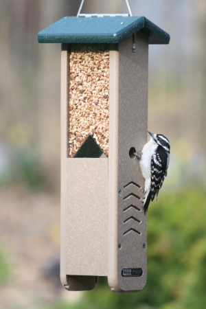 Snwp Recycled Woodpecker Feeder - Green