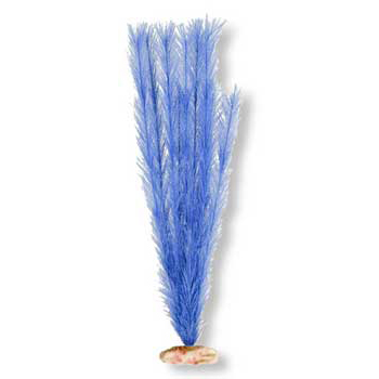 Blue Ribbon Pet Products ABLCB314BL Medium Plant Soft Foxtail  Blue