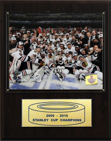 nhl stanley cup winners. 7.28 C I Collectables
