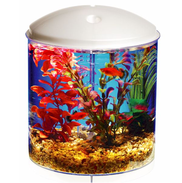 Essential Pet Products AQT360H2 AquaView 2 Gallon 360 Desktop  Aquarium