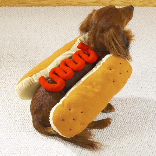 Zw111 18 12 Casual Canine Hot Diggity Dog Costume Lg Mustard