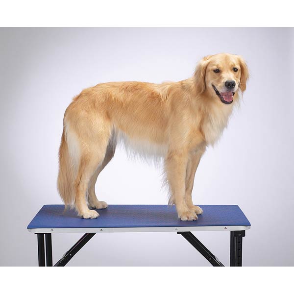 Tp4602 48 19 Top Performance Table Mat 24x48 In Blue