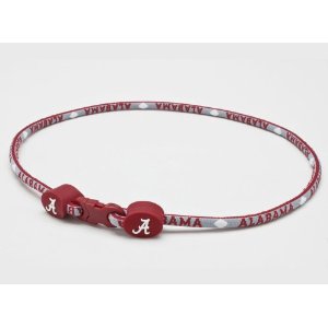 Eagles Wings 6816 Alabama Crimson Tide Youth Titanium Necklace