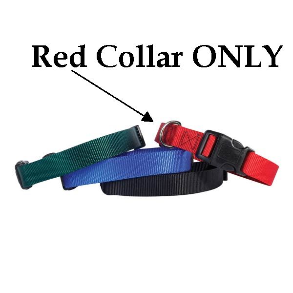 Tp811 18 83 Guardian Adj Collar 18-26 X 1 In Red