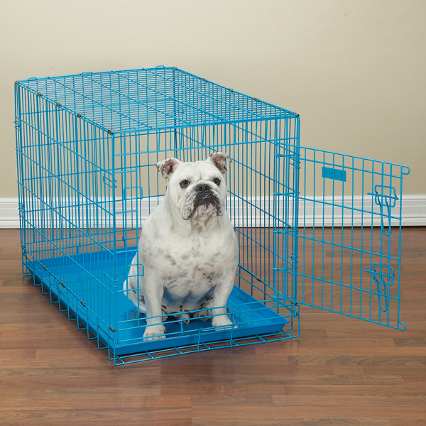 Pet Pals ZW719 36 19 ProSelect Crates 36x23x26 In Blue