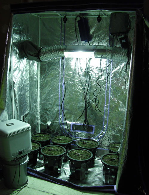 Sunlight Solutions 3044S Tomato Tent Soil