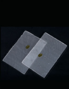 UPC 810890000031 product image for DR. HOS 1925 Replacement Pads Flex Tone Size - Single Pair | upcitemdb.com