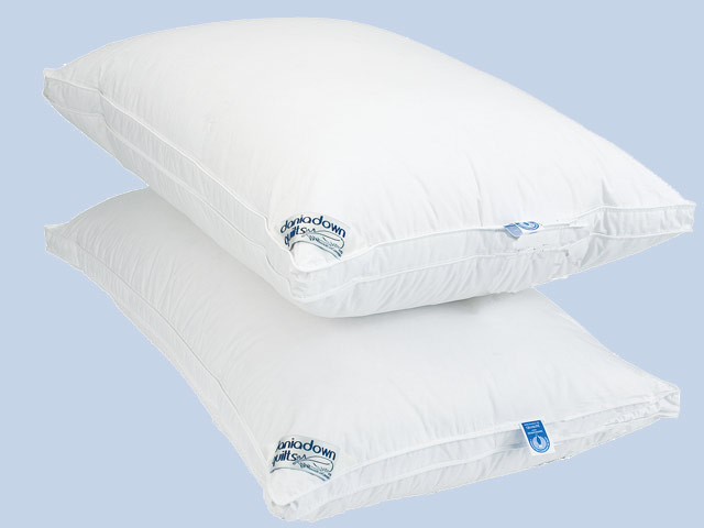 Daniadown 2000101 Regular Royal Pillow
