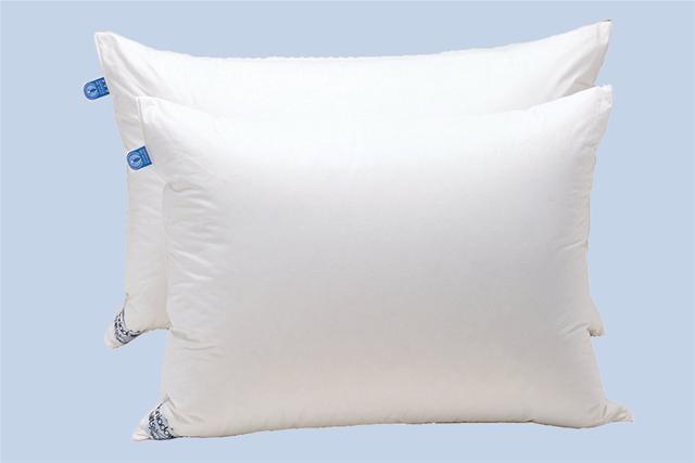 Daniadown 2000301 Regular Hi-loft Pillow