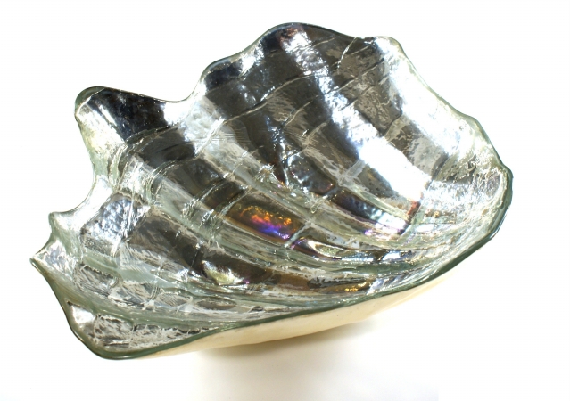 Arda Glassware 51460300 Clam Handmade 12x15 In. Bowl Silver Pearl by Arda Glassware