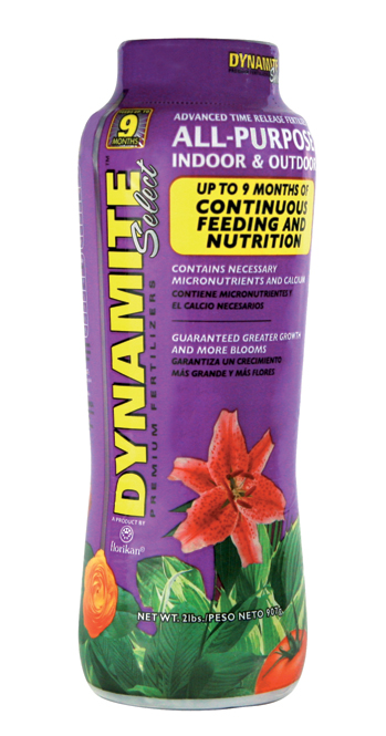 Dynamite Select All Purpose 2 No. Model 887776 Pack of 12