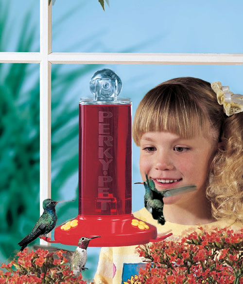 Perky Pet Window Feeder Model 217