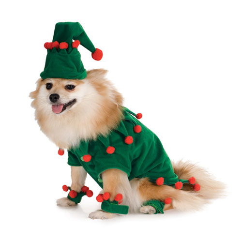 Rubie s Costume Co 34592 Elf Pet Costume Size Small at Sears.com