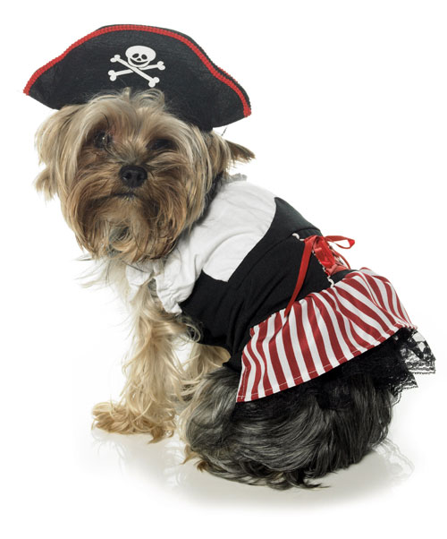 Leg Avenue 34130 Pirate Puppy Pet Costume Size Small