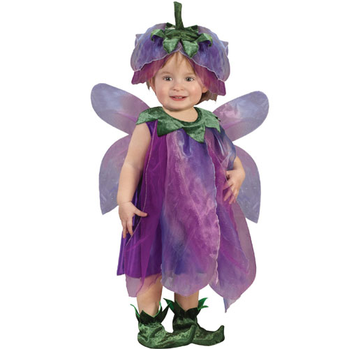 Fun World 20389 Sugar Plum Fairy InfantToddler Costume Size up to 24 months