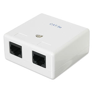 External RJ45 Cat 5e Wall Jack Double