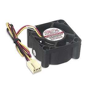 Case Fan 40mm x 20mm Dc 12v Bb 3 Pin by Alpha Omega