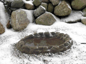 Farm Innovators FS-1 Heated Oasis Bird Bath