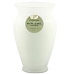 Green Tea Ginger Essential Blend By Green Tea Ginger Essenti One 4X5.5 Inch Large Frosted Glass Vase