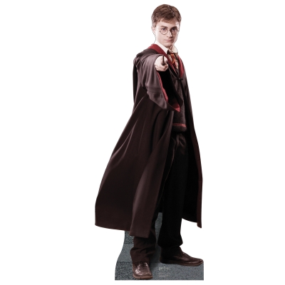Advanced Graphics 190699 Harry Potter Standup