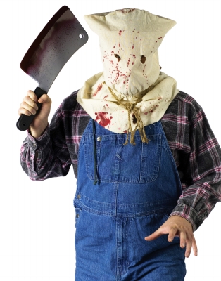 FunWorld 178946 Horror Hood Mask  One Size