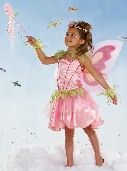 Rubies Costumes 156095 Pink Butterfly Fairy Child Costume Size: Medium (8-10)