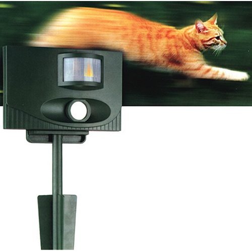 Contech Electronic Inc CTE300000047 Contech Cat Stop Ultrasonic Repellent
