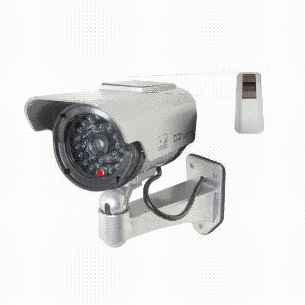 Streetwise DC1100SSP 5 in. IR Dummy Camera in Circular Outdoor Housing with Solar Powered light - Siver