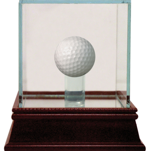 UPC 809418386740 product image for Steiner Sports CASEGFU000000 Glass Golf Ball Case | upcitemdb.com