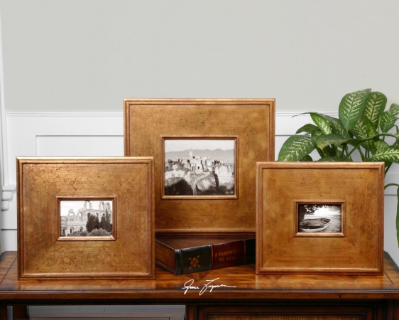 Grace Feyock 18535 Pazi#44; Photo Frames#44; S3 Antiqued Gold Leaf