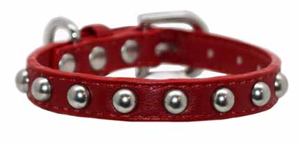Extra Small Red Silver Stud Collar