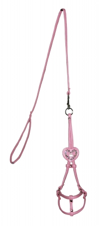Extra Extra Small Pink Heart Step-in Harness