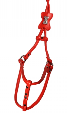 Extra Small Red Bone Step-in Harness