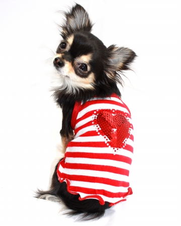 Hd-1rht-xl Extra Large Red Heart Tank