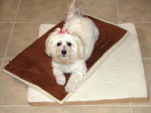 Crown Pet Mat for Classic Doghouse - Large Size
