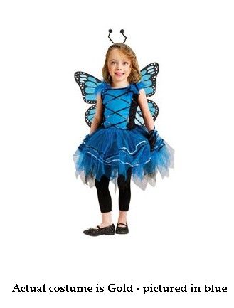 Costumes For All Occasions FW114071TL Ballerina Butterfly Toddler Large 3T4T Gold