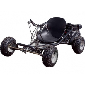 Scooter X 163Ccsk 163cc Sport Kart Go Kart