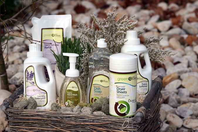 Wellness Interactive 446191102GHB Green House Gift Basket