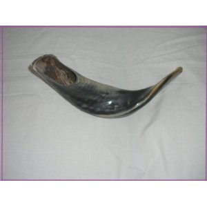 Judaica SHOFAR Shofar Sterling Silver