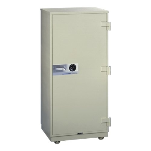 SentrySafe 2557CTSG 9.3 cu. Ft. Insulated Record Safes  Off White