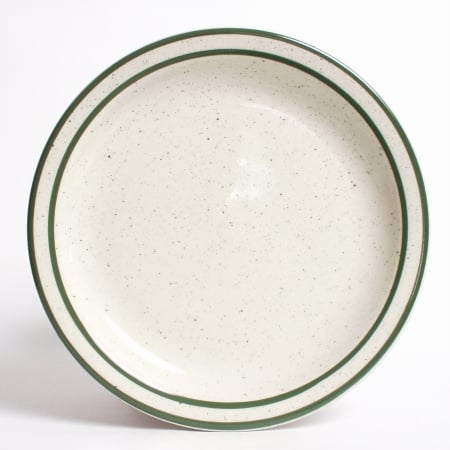 Tes-009 Emerald 9.5 In. Narrow Rim With Green Speckle Plate - American White - 2 Dozen