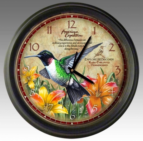 Rufous Hummingbird US06 BJA0088 Jaynes Gallery Wall Clock Summit Co 10 by 10 3dRose DPP_88846_1 Colorado Heeney 