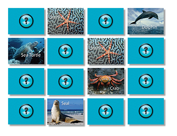 Slm222 Sea Life Photographic Memory Matching Game